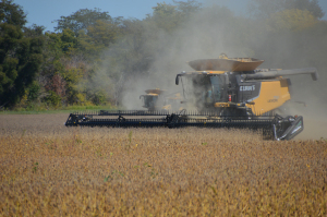 Combine in Corn Field