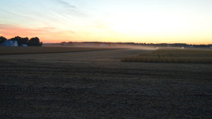 Morning Farm Fields