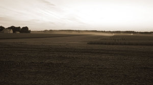 Morning Farm Fields