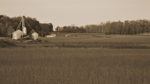 Farm
