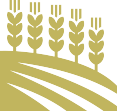 equipment