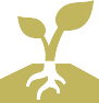 labor_and_inputs